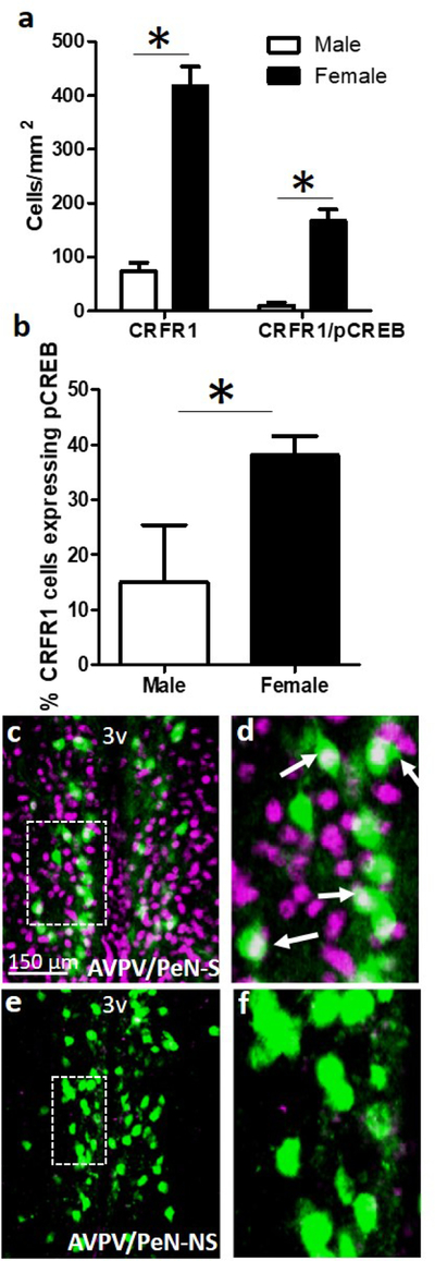 Figure 7.