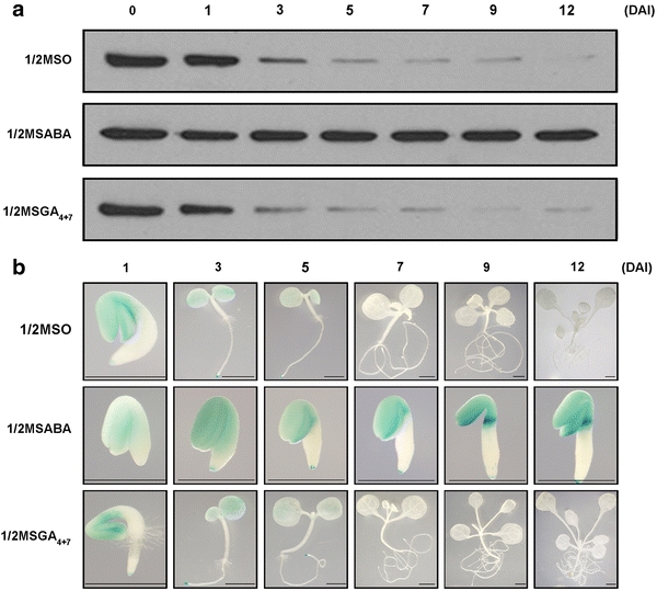 Fig. 3