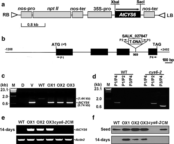 Fig. 4