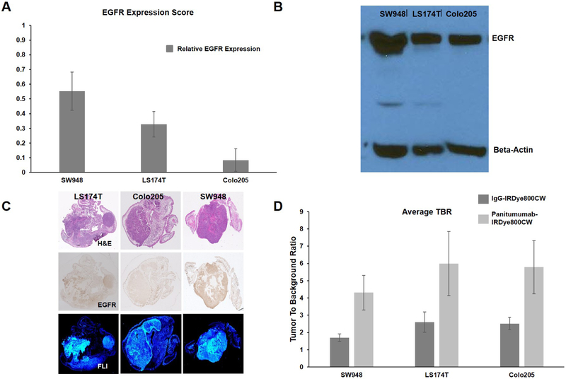 Figure 4-