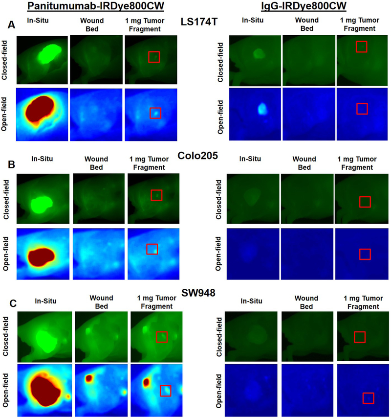 Figure 3: