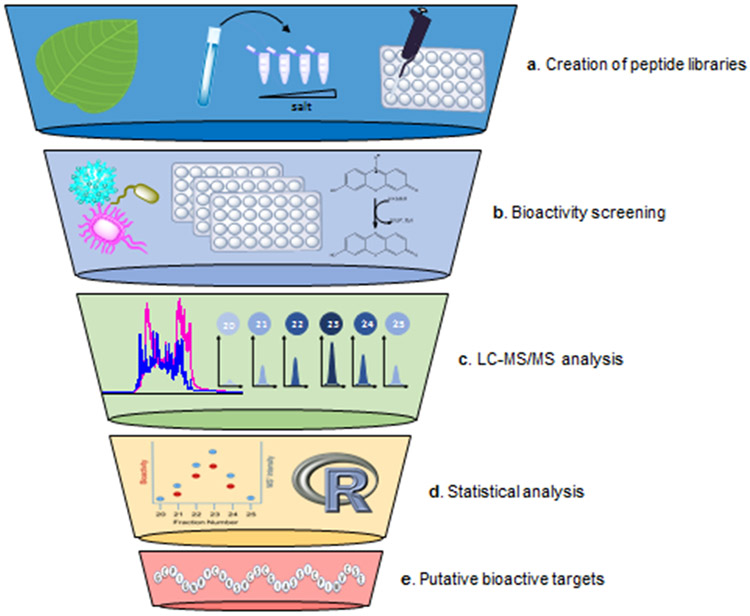 Figure 1: