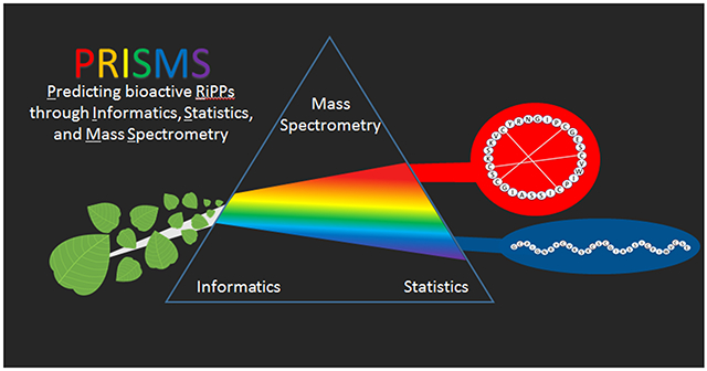 graphic file with name nihms-1755292-f0001.jpg