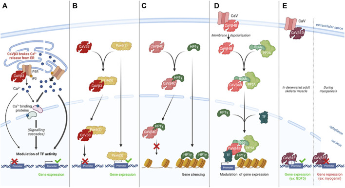 FIGURE 1