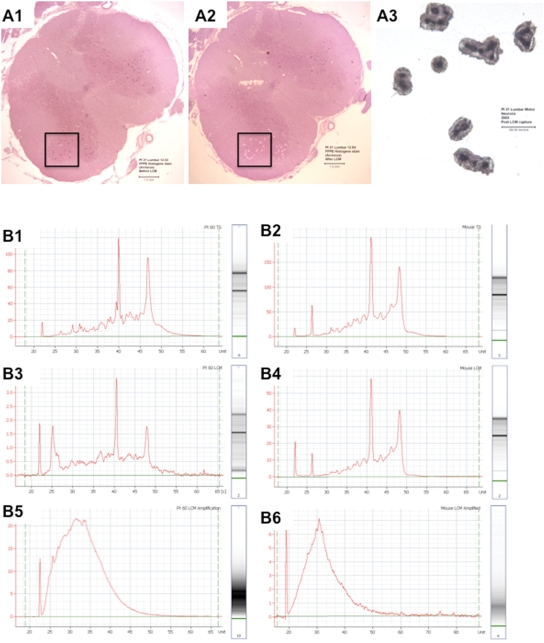 Figure 1.