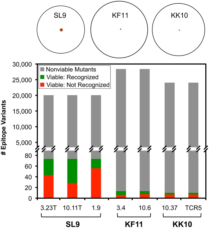 Fig 12