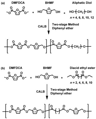 Scheme 2