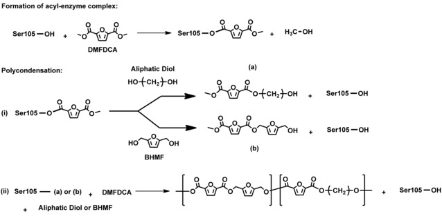 Scheme 3