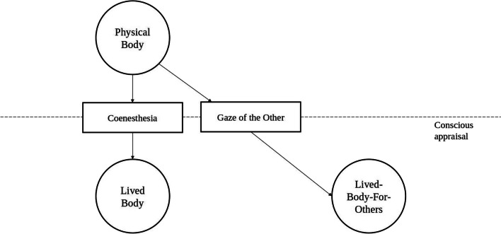 Fig. 1