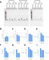 Figure 2—figure supplement 1.