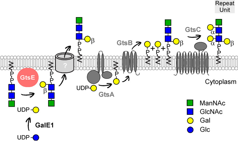 FIG 8