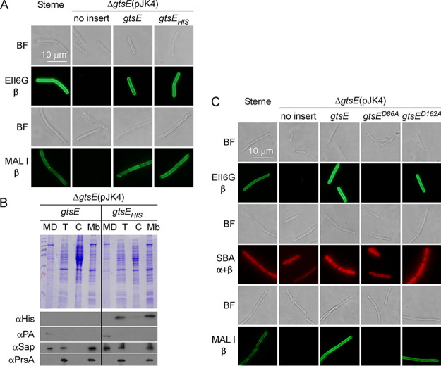 FIG 6