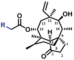 graphic file with name molecules-27-00931-i001.jpg