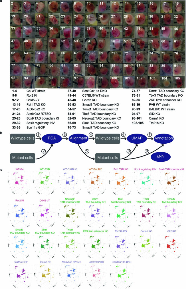 Extended Data Fig. 1