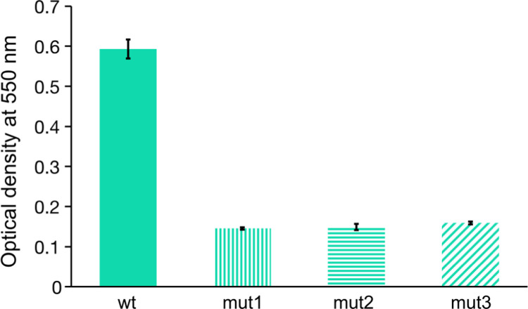 Figure 5.