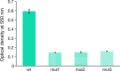Figure 5.