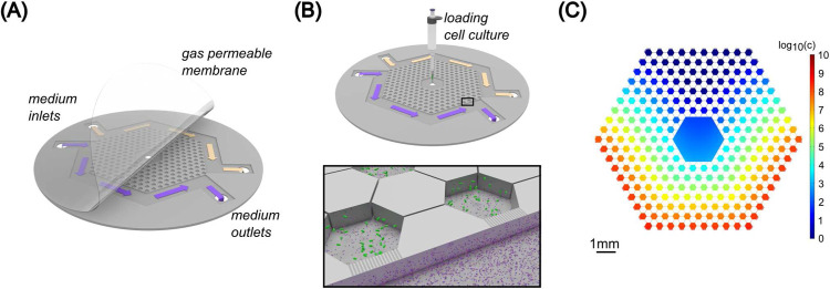 Figure 1.