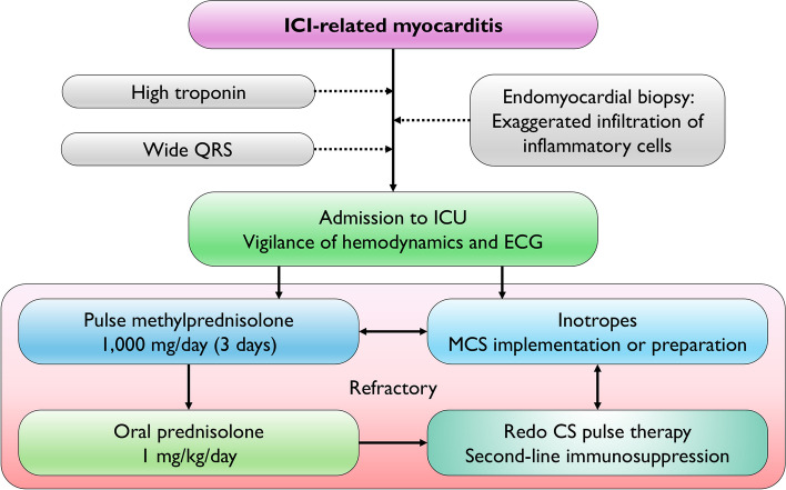 Fig. 4