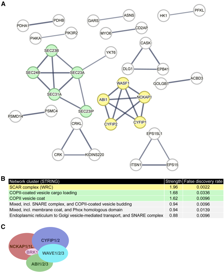 Figure 1