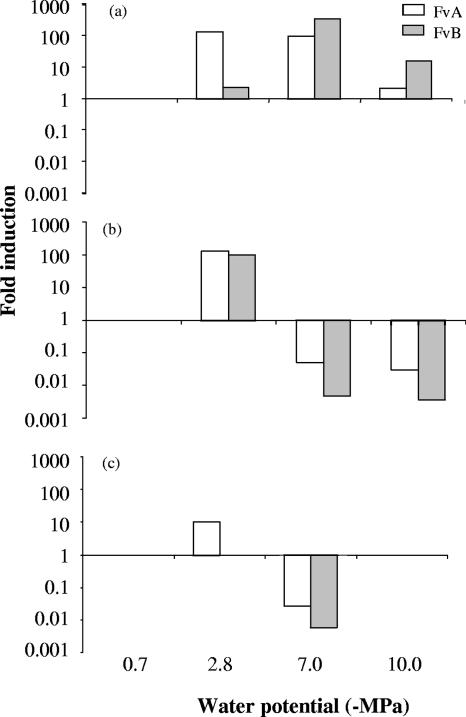 FIG. 2.