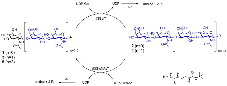 Scheme 2