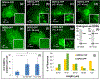 Figure 4: