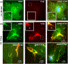 Figure 10: