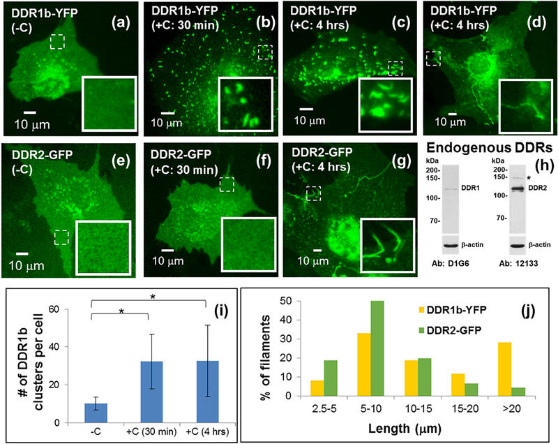 Figure 4: