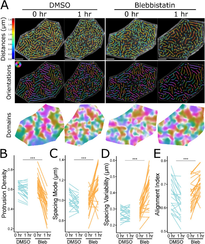 FIGURE 6: