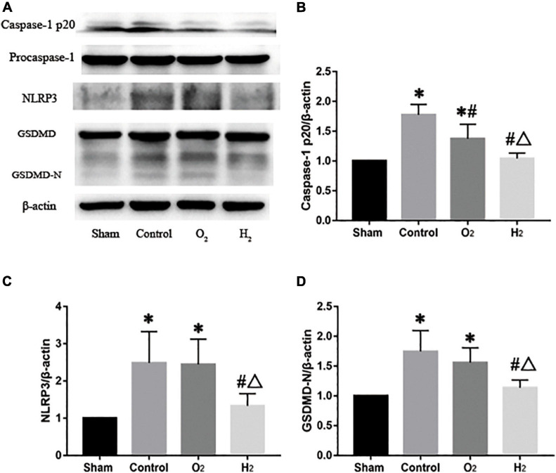 FIGURE 6