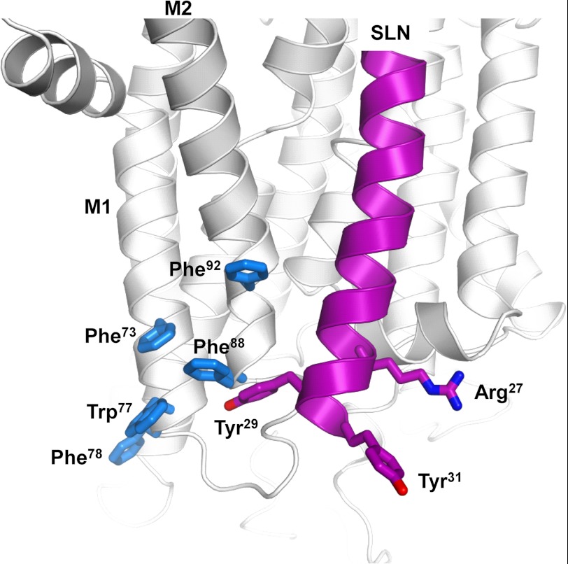 FIGURE 7.