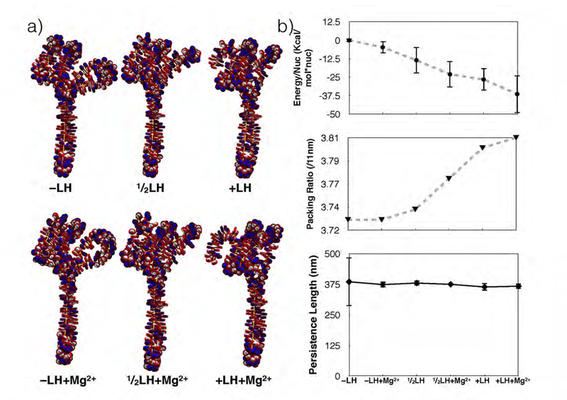 Figure 7: