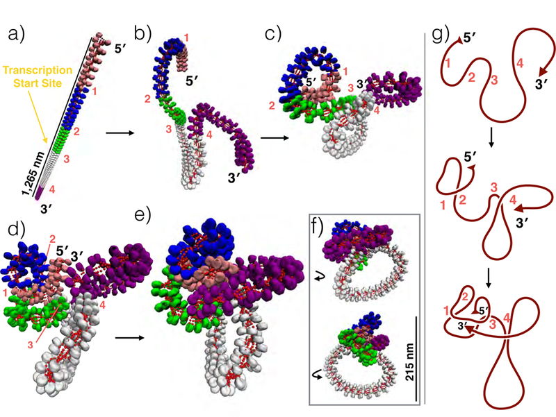 Figure 4: