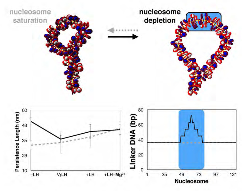 Figure 6: