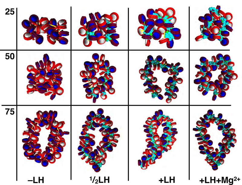 Figure 2a: