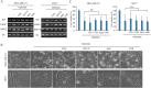 Figure 6