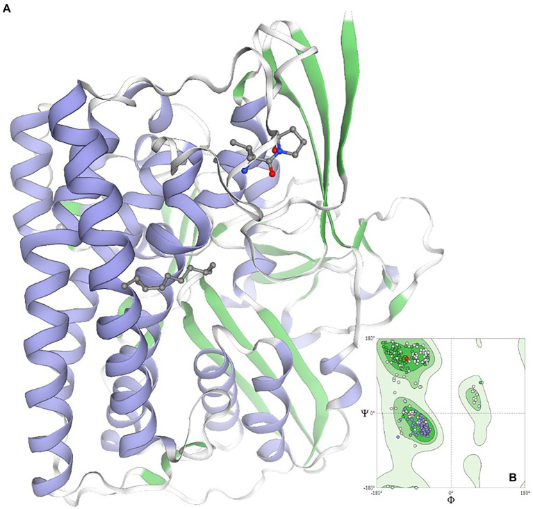 Figure 6