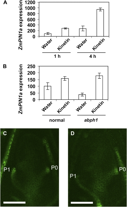 Figure 6.