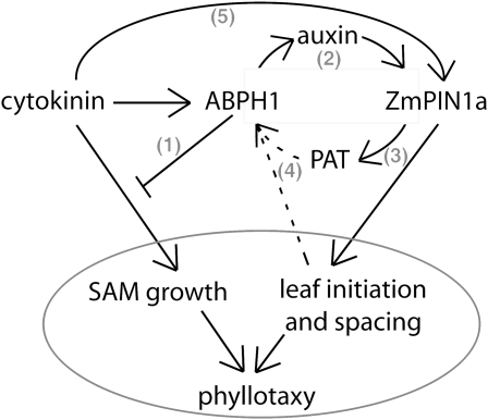 Figure 7.