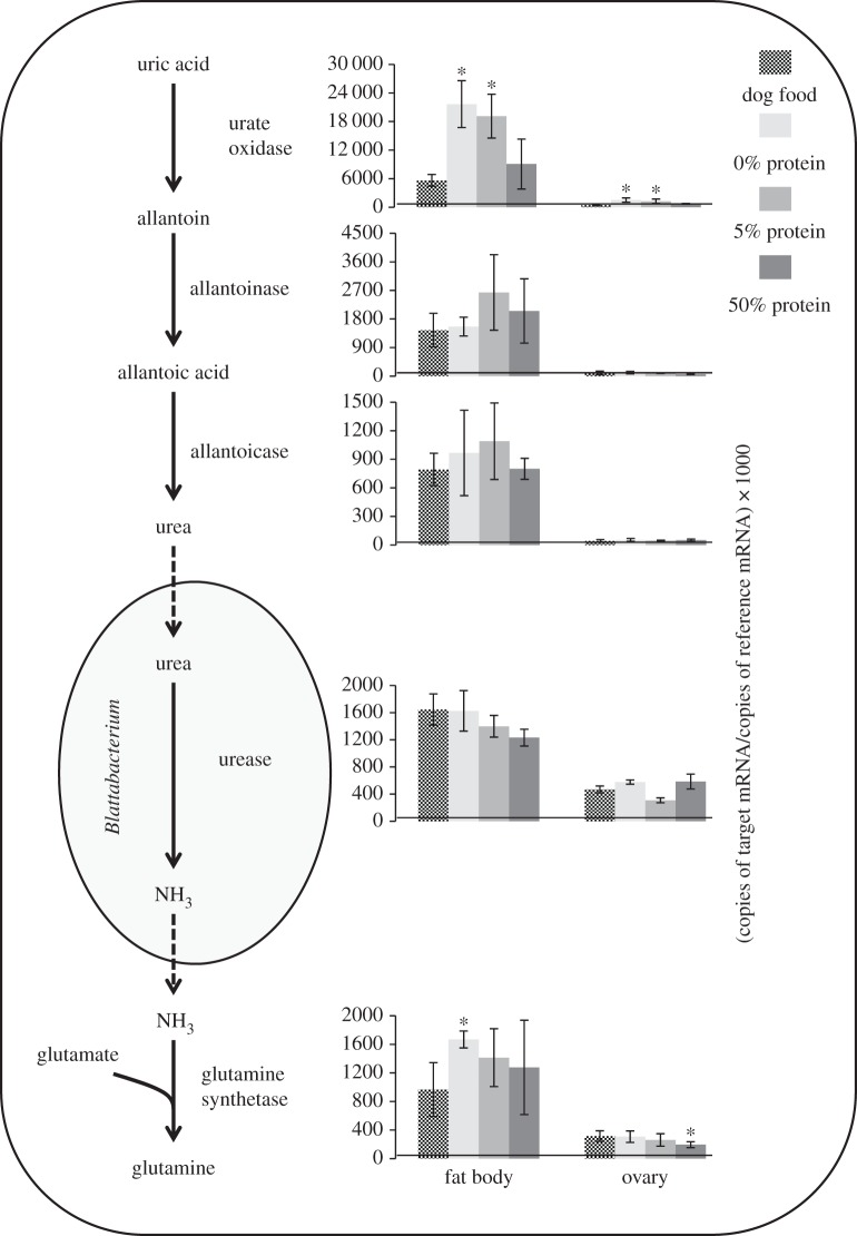 Figure 1.