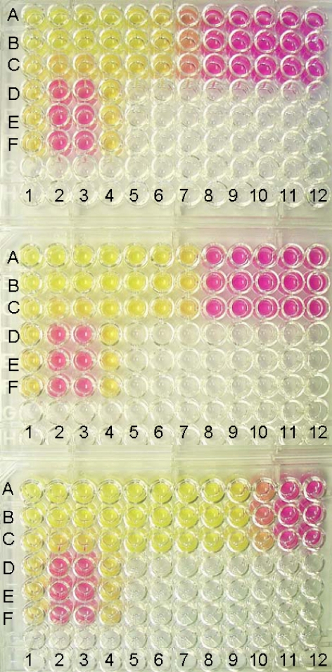 Fig. 1