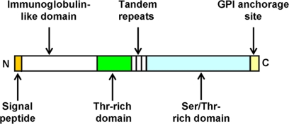 Fig. 2.