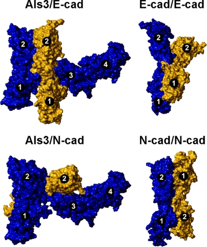 Fig. 4.