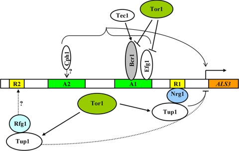 Fig. 3.