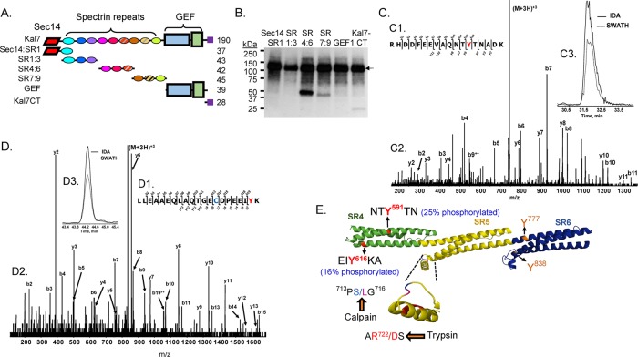 FIGURE 9: