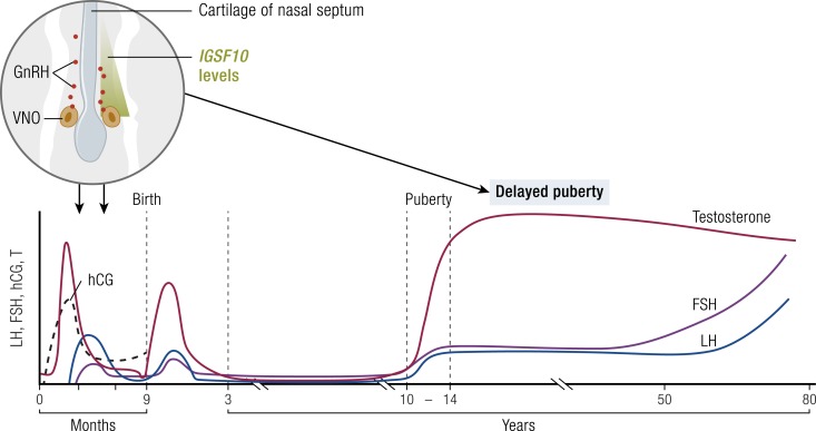 Figure 7.