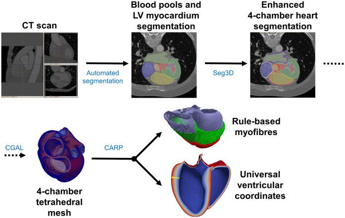 Fig 1