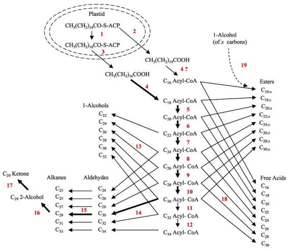 Figure 3.