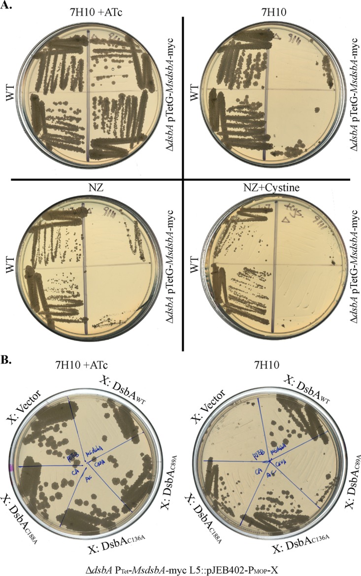 FIG 4