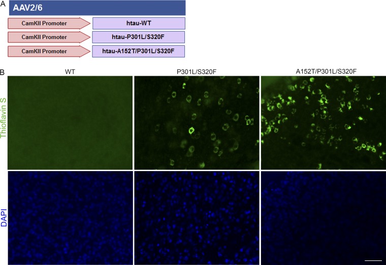 Figure 6.